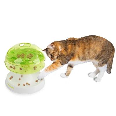 Interactive-Mushroom cat puzzle toy - Black Dog Panamá 
