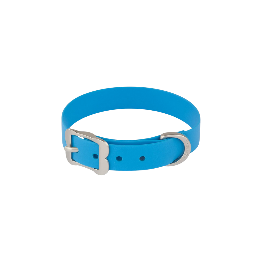 Vivid PVC Collar Azul – L