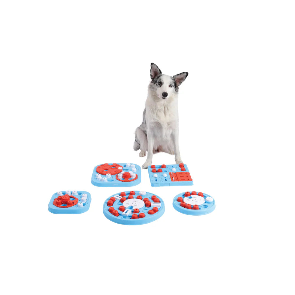 MPets Brainy Games Galileo – L/L3 Difficult