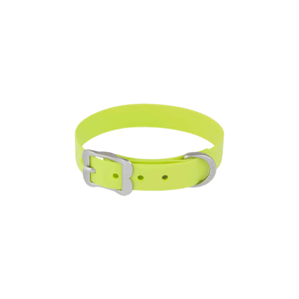 Vivid PVC Collar Lima – L