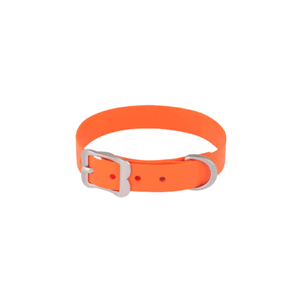 Vivid PVC Collar Naranja – L
