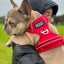 DOOG Neotech Harness RED - Extra Large