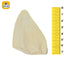 COW EAR FLAT JUMBO - Black Dog Panamá 