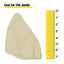 COW EAR FLAT JUMBO - Black Dog Panamá 