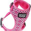 DOOG NEOFLEX DOG HARNESS TOTO XLARGE - Black Dog Panamá 