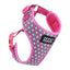 DOOG Neoflex Dog Harness LUNA - Extra Large