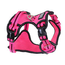Technical Harness - Lady - small - Black Dog Panamá 