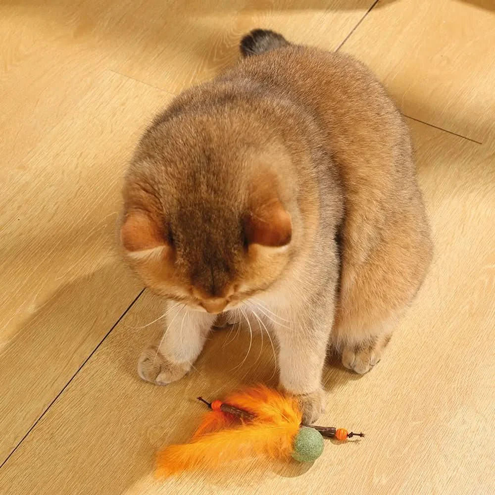 MPets Charmy Catnip Toy Naranja – Unidad
