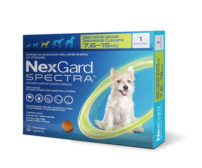 NexGard Spectra M Tableta Antiparasitaria – 7.6-15 kg