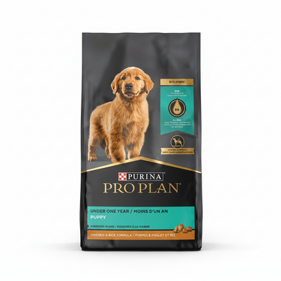 Pro Plan Focus Puppy Alimento con Pollo y Arroz para Cachorros - Todas las Razas - 6 lb