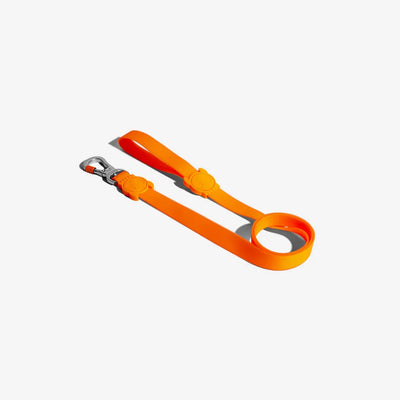 DOG LEASH - TANGERINE-M - Black Dog Panamá 