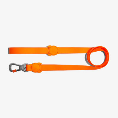 DOG LEASH - TANGERINE-S - Black Dog Panamá 