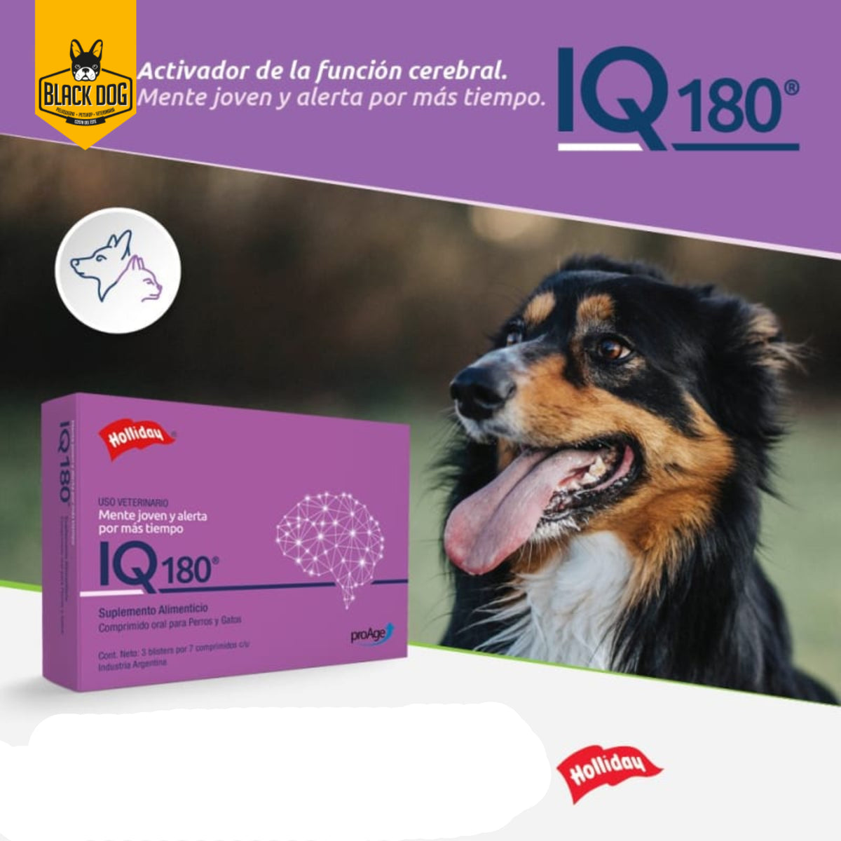 IQ 180 | Comprimidos individuales