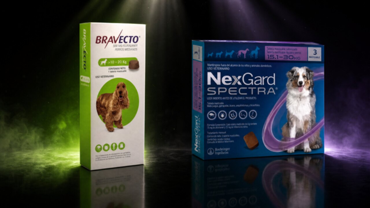 Bravecto vs NexGard: ¿cuál antipulgas es mejor para tu perro?
