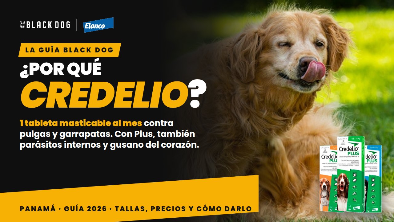 Credelio en Panamá: por qué lo recomendamos y qué talla elegir