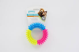 14662 RAINBOW WORLD RING DOG TOY