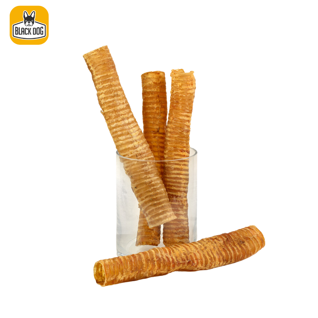 TRACHEA TUBES 6"