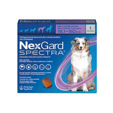 [010116] NEXGARD SPECTRA L 15.1 - 30 KG