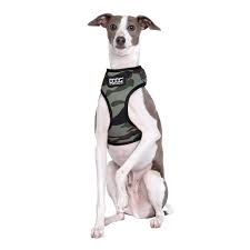 [HARBRUSOFT-L] BRUISER soft harness - large