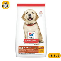 [9376] 9376 SD PUPPY LARGE BREED 15.5LB