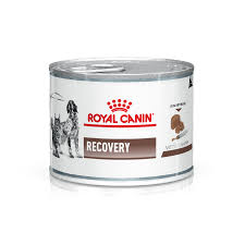 [010105-030 | 288130] ROYAL CANIN VET DIET RECOVERY FEL/DOG